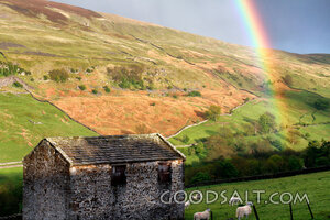 Covenant Rainbow Over Pasture