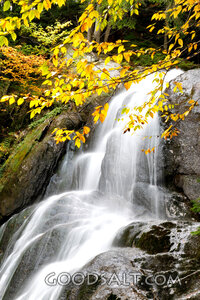 Autumn Waterfall in the Creator’s Forest