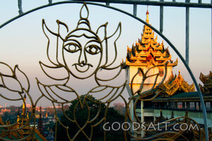 Lotus Guardian Over Golden Pagoda