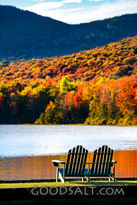 Still Waters in Autumn Rest