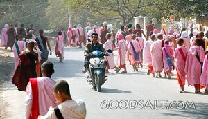 Buddhist Monastics on a Sunlit Road