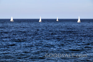 Sailboats on the Open Sea