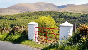 Gate to the Mountain Woodland