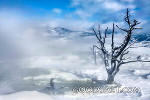 Winter Springs of Creation