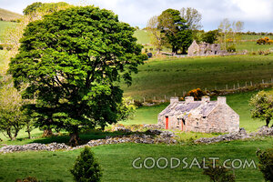 Pastoral Stone Cottage in Green Pastures
