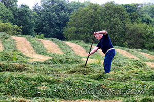 Laborer in the Harvest Field
