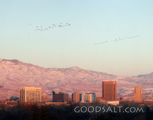 Winter City Beneath the Foothills