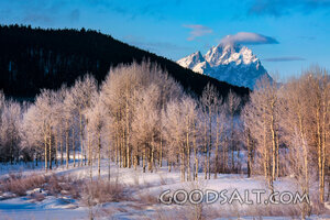Winter Mountains of Creation
