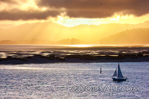 Sailboat in Golden Harbor Light