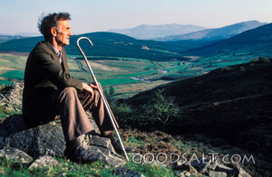 Shepherd Over the Valley