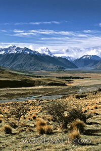 landscape with brush and mountains
