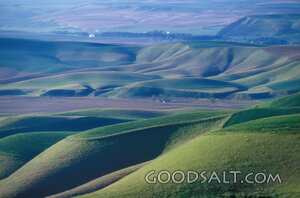 Landscape With Rolling Hills