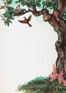 Lessons From Birds and Animals