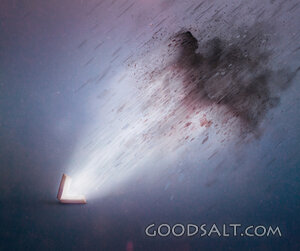 Light Overwhelming the Darkness