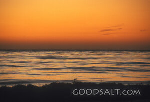 Evening Light Over the Sea
