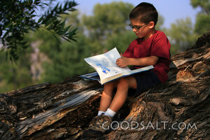 Little boy reading storybook in tree in summer.