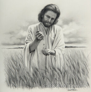 Lord of the Harvest
