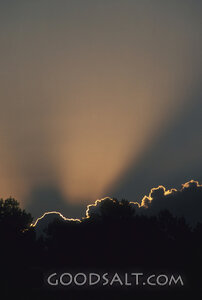 Luminous Clouds