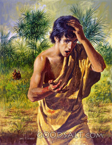 Man Disobeys God