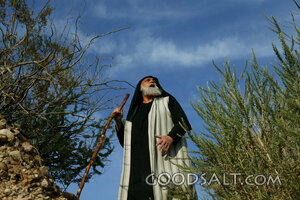 Prophet in the Wilderness