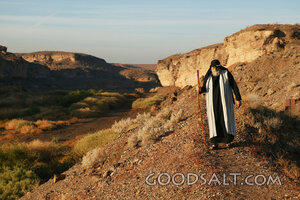 Prophet Walking the Wilderness Path