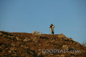 The Shepherd Finds the Lost Sheep