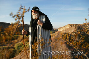 Sojourner in the Wilderness