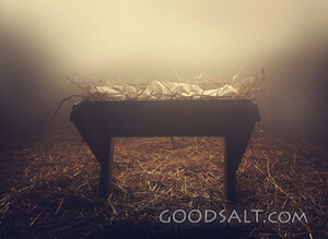 Manger at Night under Fog
