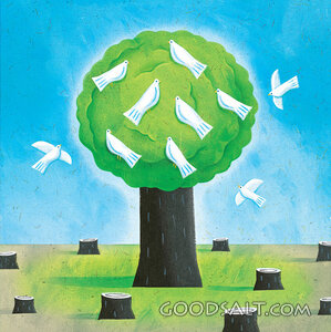 Many Doves in a Tree Sorounded by Stumps