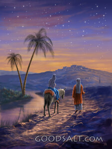 Mary and Joseph F (no Star)