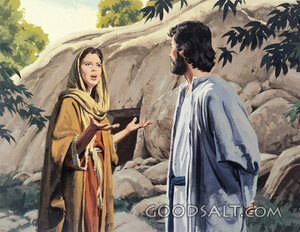 Mary Sees the Lord
