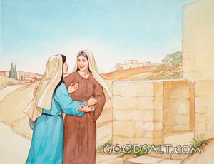 Mary Visits Elizabeth