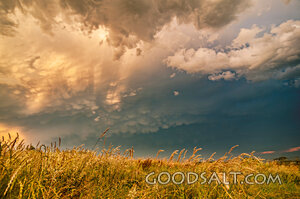 Storm Light Over the Field