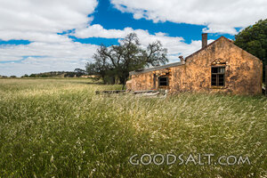 Abandoned Pioneer Farmhouse in the Field