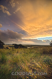 Storm Light Over the Meadow