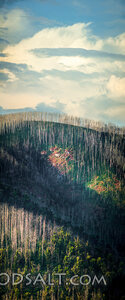 After the Fire, Light Over the Mountain