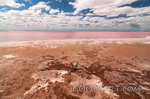 Salt-Crusted Shore of a Pink Lake