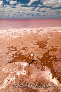 Salt-Crusted Shore of a Pink Lake
