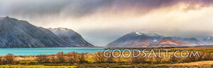 Mountain Lake and Bare Willows