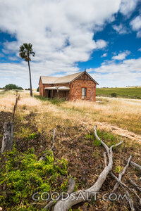 Pioneer Farmhouse with Lone Palm