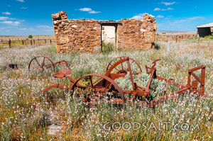 Forgotten Harvest Field