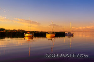 Harbor of Quiet Waters
