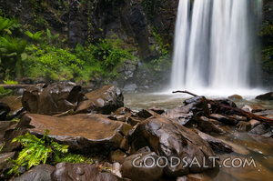 Waters of Creation