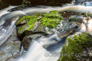 Living Water Over Mossy Stones