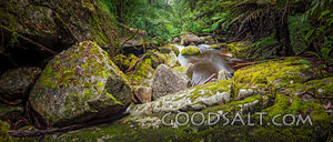 Quiet Stream Among Mossy Stones