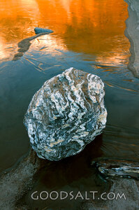 Stone of Refuge in Winter Waters