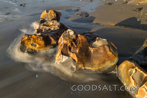 Tide Washed Stones of Refuge