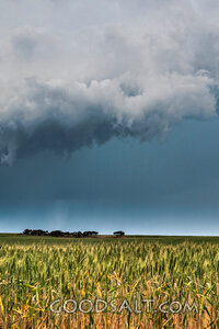 Storm Clouds Over the Harvest