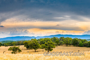 Storm Over the Harvest Fields