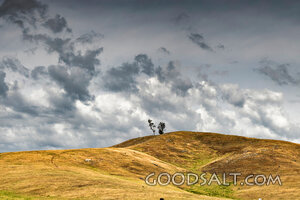 Storm Clouds Over the Hill Country